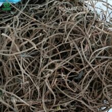 Cận cảnh thân cây thuốc dòi khô không lẫn tạp chất tại Thảo Dược Đức Thiện