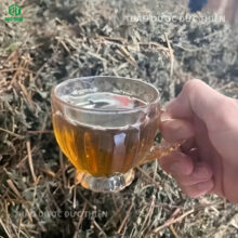 Màu nước sắc từ cây thuốc dòi khô có tác dụng hỗ trợ trị đau dạ dày và mát phổi