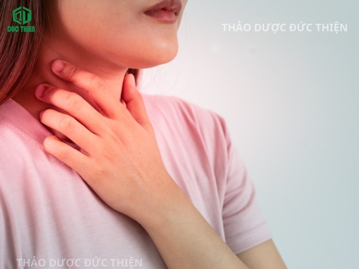 Đỗ trọng giúp chống oxy hóa, mát phổi và tim mạch