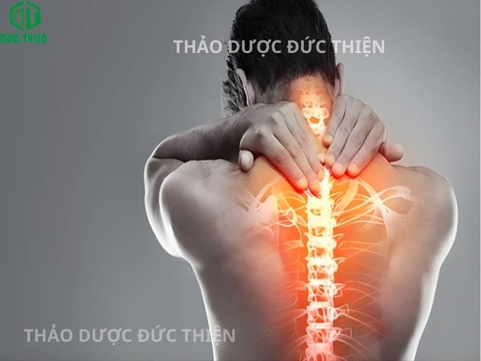 dứa dại rừng hiệu quả trong việc hỗ trợ vấn đề thận, xương khớp
