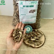 Cách nấu nước sắc dây đau xương trị bệnh gout bằng cách hỗ trợ thận đào thải acid uric thừa