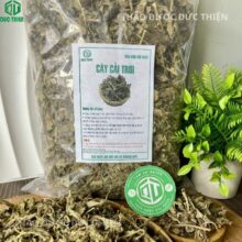 Thảo Dược Đức Thiện là địa chỉ cung cấp cây cải trời khô sạch, không chất bảo quản tại TPHCM.