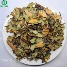 Hình ảnh dược liệu cây phèn đen chuẩn tại Thảo Dược Đức Thiện