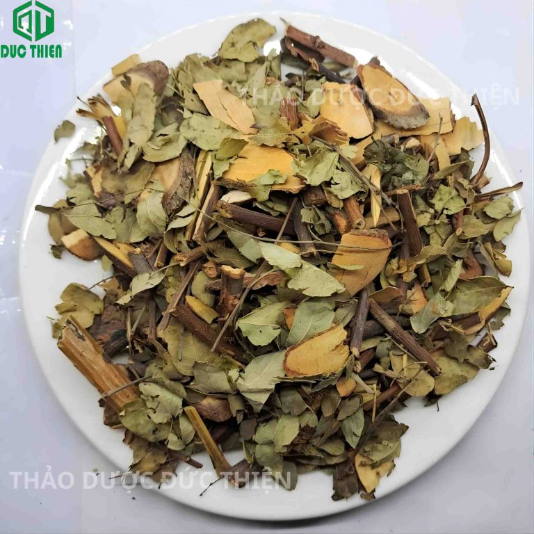 Hình ảnh dược liệu cây phèn đen chuẩn tại Thảo Dược Đức Thiện