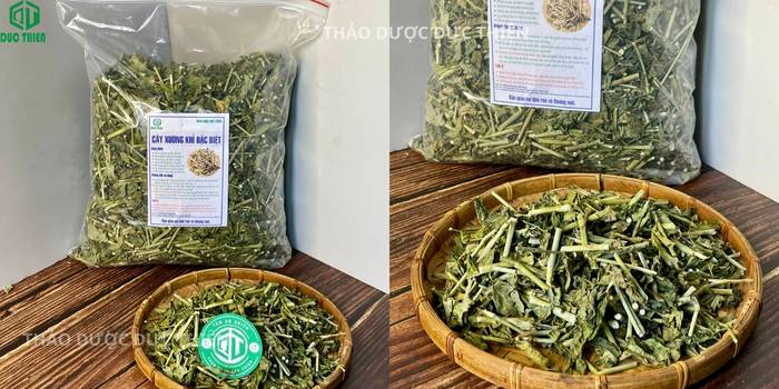 Cây bìm bịp (cây xương khỉ) khô đóng gói bao bì chất lượng