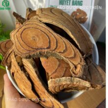 Cận cảnh lát cắt cây huyết đằng khô với các vòng vân gỗ tơ nhựa màu đỏ sẫm đặc trưng