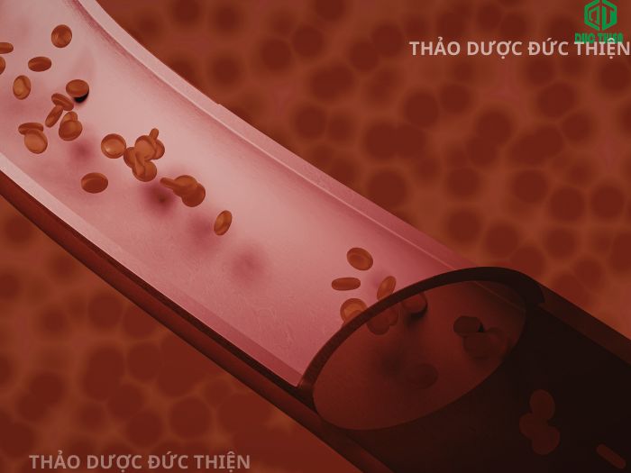 Huyết đằng có tác dụng bồi bổ khí huyết, phục hồi sinh lực