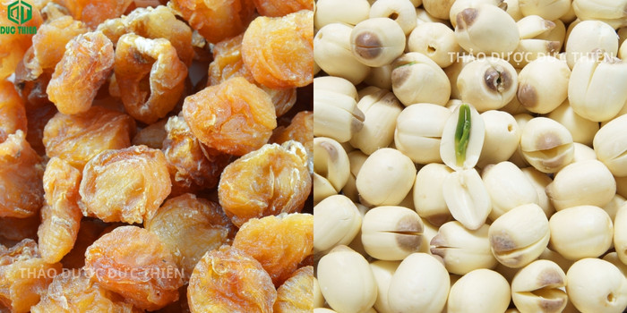Chè hạt sen long nhãn thanh mát - Đặc sản tiến vua vùng đất Phố Hiến