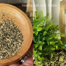 thành phẩm bên trong trà túi lọc xương khỉ Thảo Dược Đức Thiện