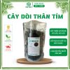 Cây thuốc dòi bọ mắm hỗ trợ ho, viêm họng