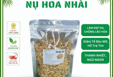 100gr Nụ Nhài Khô Đức Thiện  Loại 1 – Làm Đẹp Da, Chống Lão Hóa, Hỗ Trợ Giấc Ngủ
