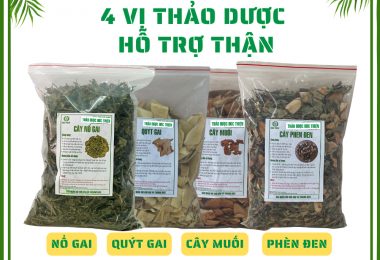 Combo 4 Vị Hỗ Trợ Vấn Đề Về Thận – Cây Muối, Quýt Gai, Phèn Đen, Nổ Gai (500g/loại)