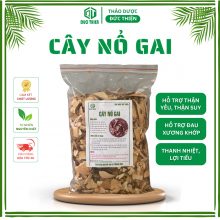 500gr Cây Nổ Gai Khô Đức Thiện Loại 1 – Hỗ Trợ Suy Thận, Tiểu Rắt, Xương Khớp