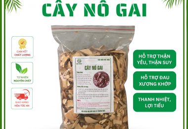 500gr Cây Nổ Gai Khô Đức Thiện Loại 1 – Hỗ Trợ Suy Thận, Tiểu Rắt, Xương Khớp