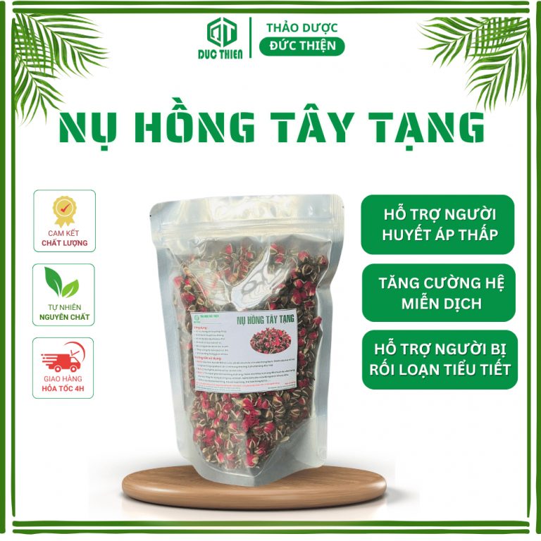 nụ hoa hồng Tây Tạng