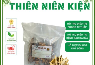 Thiên Niên Kiện Đức Thiện (20g x 14 túi, Liệu trình 14 ngày) – Hỗ Trợ Xương Khớp, Tê Bì