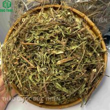 dược liệu rau mương làm thuốc dễ sử dụng