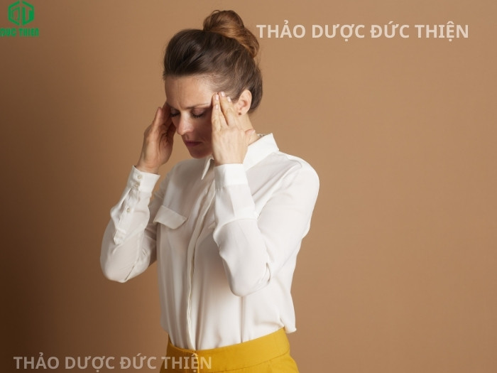 Uống trà nụ hoa nhài mỗi ngày giúp giảm đau đầu căng thẳng và hỗ trợ điều trị mất ngủ hiệu quả
