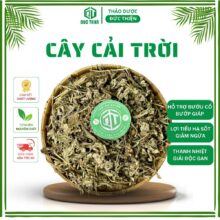 Sản phẩm cây cải trời khô hỗ trợ bướu cổ và tình trạng viêm da Thảo Dược Đức Thiện