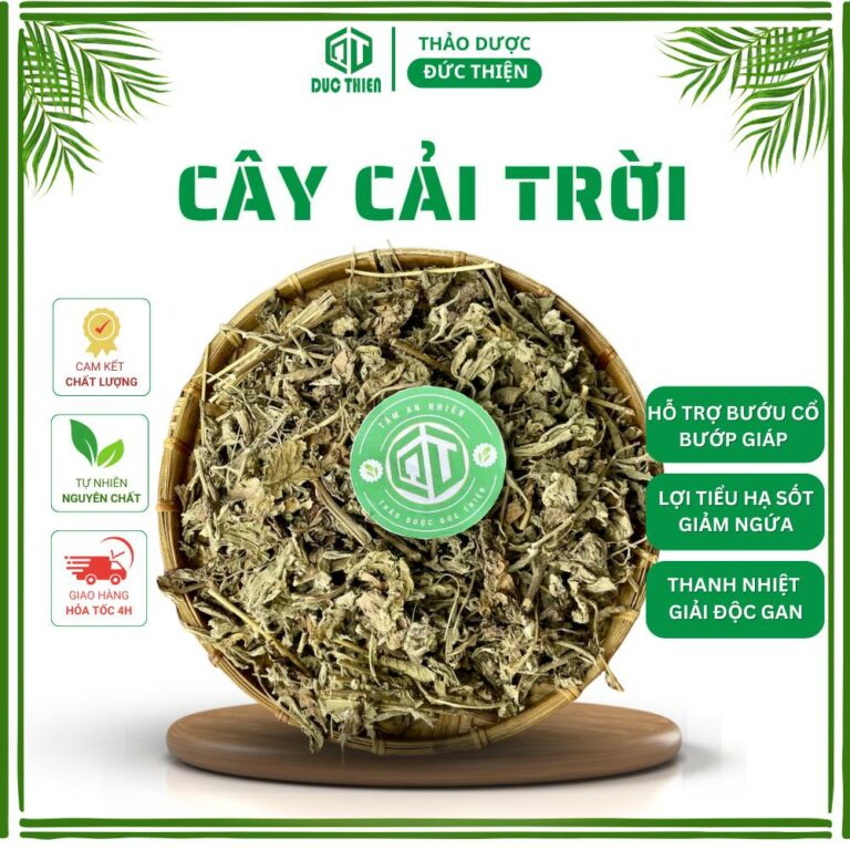 Sản phẩm cây cải trời khô hỗ trợ bướu cổ và tình trạng viêm da Thảo Dược Đức Thiện