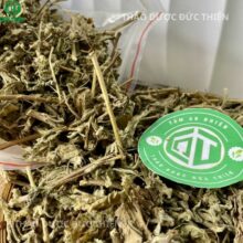 Công dụng của cây cải trời trong hỗ trợ bệnh ngoài da, viêm, vẩy nến