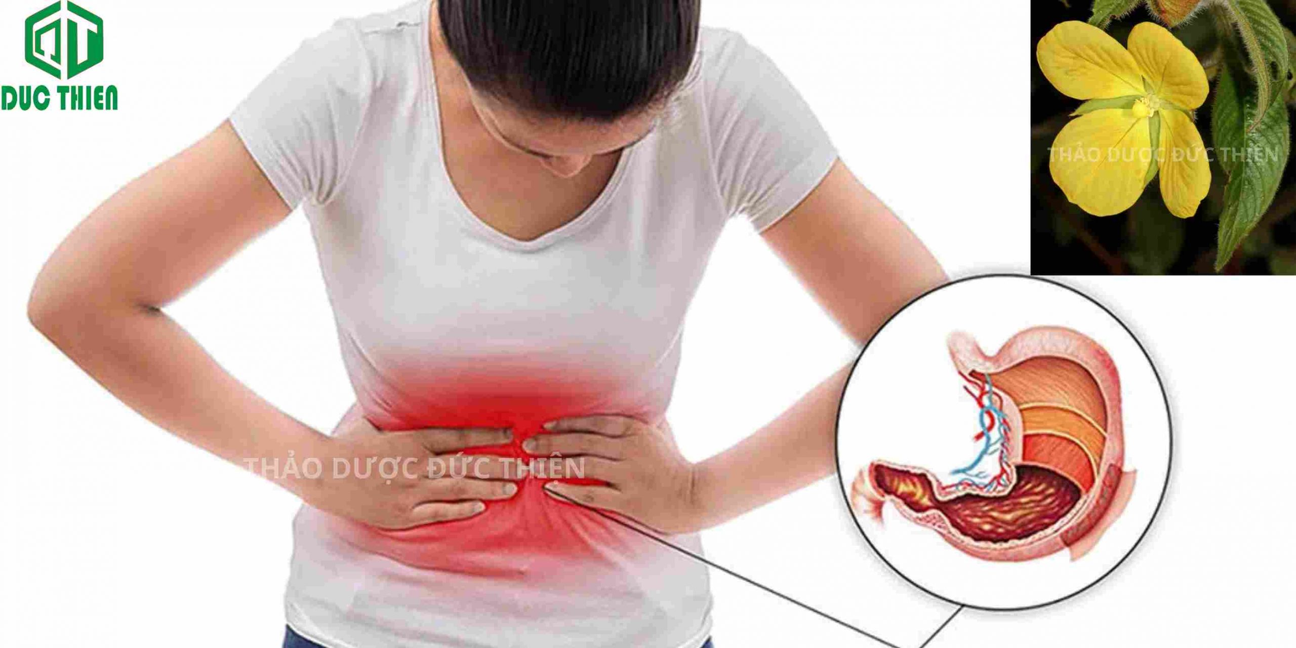 Tác dụng của cây rau mương khô và tươi trong việc hỗ trợ chữa trị bệnh dạ dày