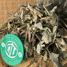 cong-dung-ke-hoa-dao-ho-tro-tuyen-giap