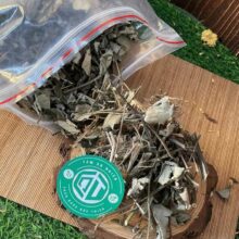 mua-ke-hoa-dao-o-dau-uy-tin-gia-tot-o-ha-noi