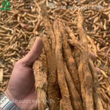 Thiên niên kiện khô nguyên củ tại Đức Thiện, giữ trọn vẹn tinh dầu và hoạt chất trị đau nhức xương khớp.