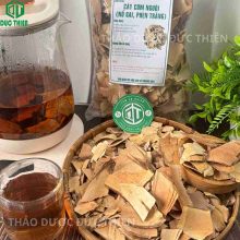 Trà cây nổ gai cơm nguội hỗ trợ xương khớp Thảo Dược Đức Thiện.