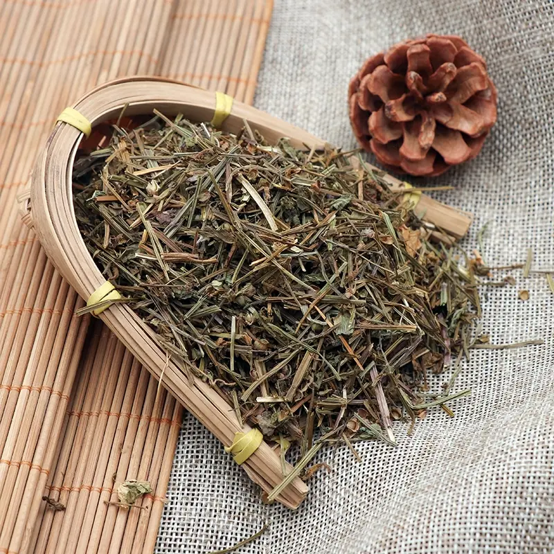 DÒI THUỐC TÍM – THẢO DƯỢC THANH NHIỆT GIẢI ĐỘC, BẢO VỆ GAN VÀ DẠ DÀY TỪ TỰ NHIÊN