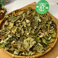 Tác dụng của cây mâm xôi đối với phụ nữ sau sinh giúp tử cung mau co lại và lợi sữa