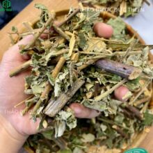 Cận cảnh thân và lá cây mâm xôi rừng sấy khô sạch giúp bồi bổ can thận và sinh lý nam giới