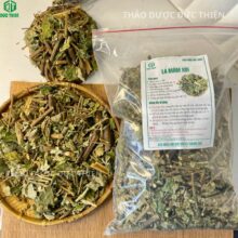 Bao bì sản phẩm thân lá cây mâm xôi (cây đum đũm) Thảo Dược Đức Thiện hỗ trợ sinh sản
