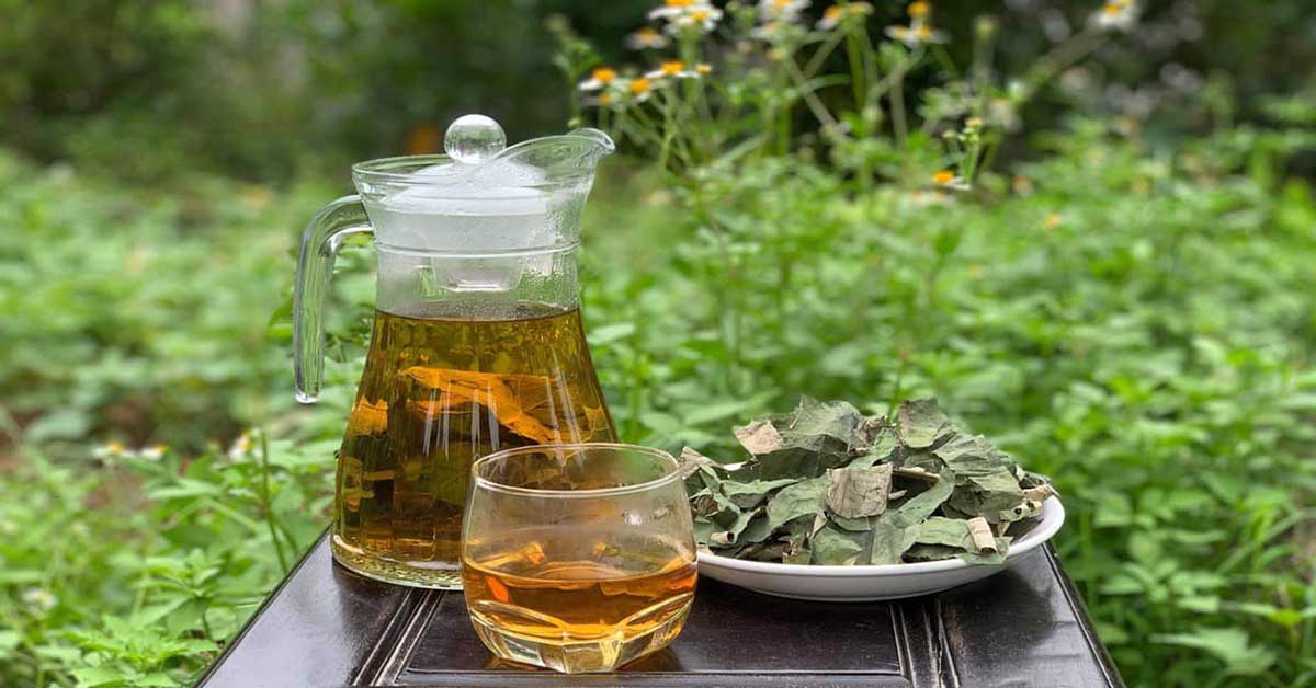 Phụ nữ hiện đại trị mất ngủ bằng thảo dược: An toàn mà hiệu quả