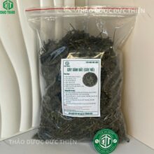 Địa chỉ bán cây sâm tách uy tín thành phố Hồ Chí Minh