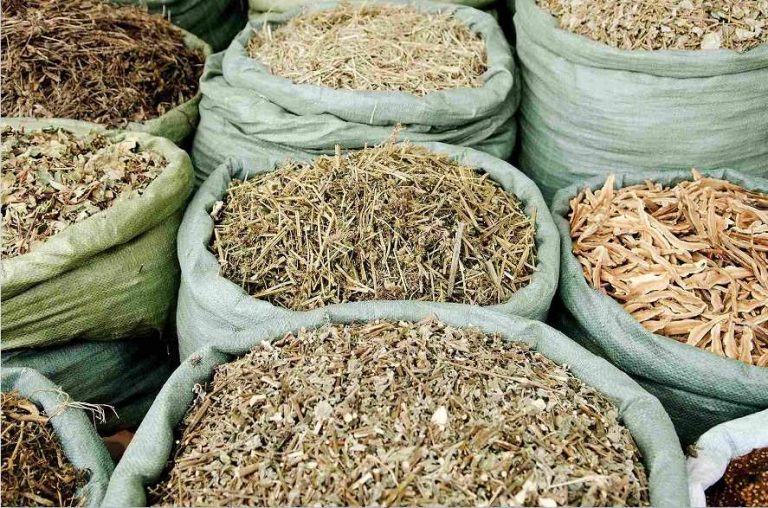 Kho thảo dược Đức Thiện có các cây khô dược liệu