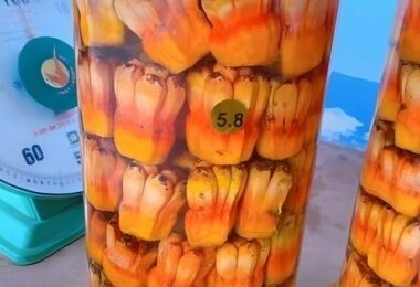 Quả Dứa Dại Có Tác Dụng Gì? Cách Dùng, Ngâm Rượu Và Kết Hợp Kim Tiền Thảo