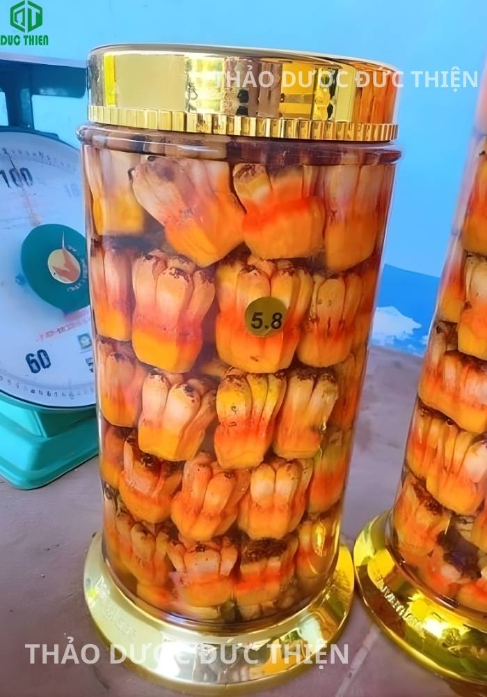 quả dứa rừng ngâm rượu giúp bồi bổ sức khỏe, hỗ trợ xương khớp và bệnh gout