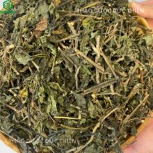 Nhận biết cây nổ (cây sâm tách) khô không ẩm mốc giữ mùi thơm