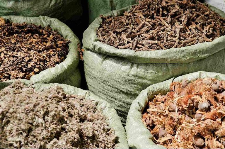thảo dược thảo mộc được đóng bao sạch sẽ trong kho