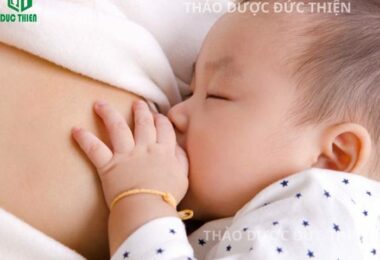 Mẹo chữa tắc tia sữa bằng lá Bồ Công Anh khô: Hết sưng đau, sữa về ướt áo