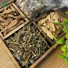 Combo thảo dược trị đau thần kinh tọa và gai cột sống nguyên chất tại Thảo Dược Đức Thiện