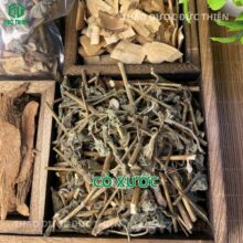 Rễ cỏ xước khô (Ngưu Tất Nam) chuyên dẫn huyết và trị đau nhức xương khớp