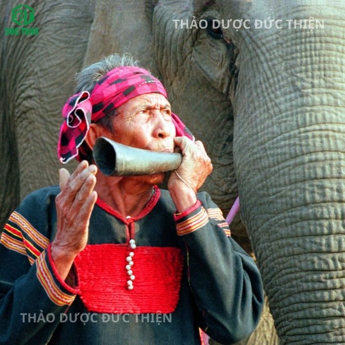 thang thuốc Amakong