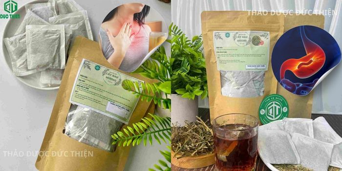 cách chữa trào ngược dạ dày bằng trà rau mương túi lọc
