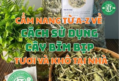 Cẩm Nang Từ A-Z Về Cách Sử Dụng Cây Bìm Bịp Tươi Và Khô Tại Nhà