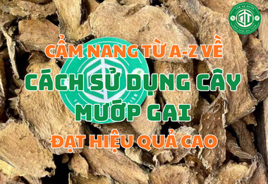 Cẩm Nang Từ A-Z Về Cách Sử Dụng Cây Mướp Gai Đạt Hiệu Quả Cao