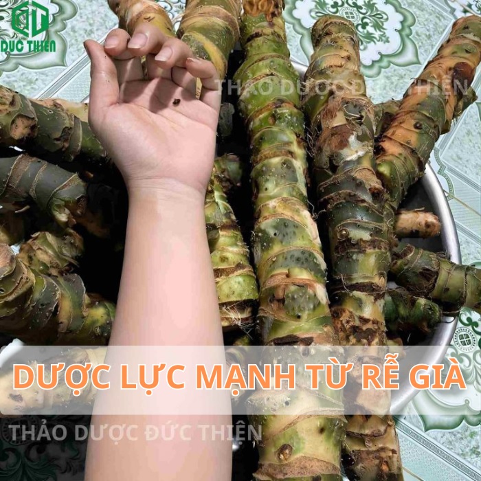 cách sử dụng cây mướp gai