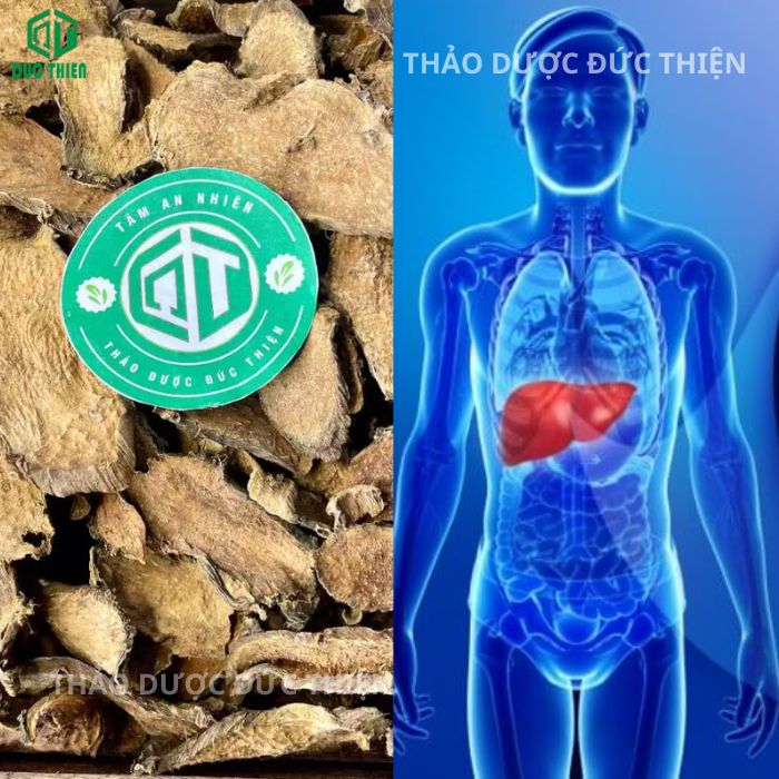 cách sử dụng cây mướp gai